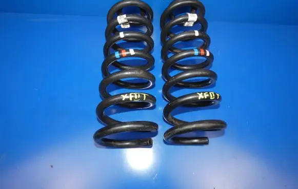 Rear coil spring