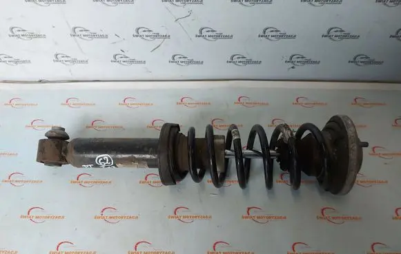 BMW 6 F06 Gran coupe Rear shock absorber/damper 6777211