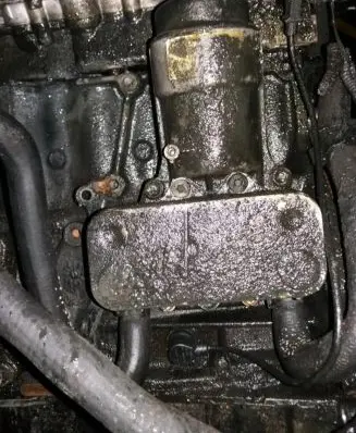 Opel Vectra B Oil filter cover 
