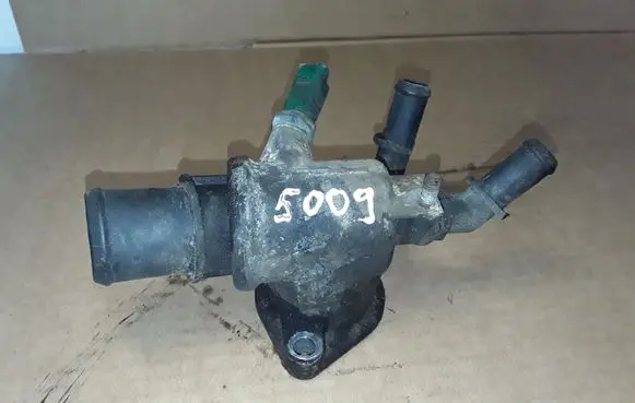 Thermostat/thermostat housing