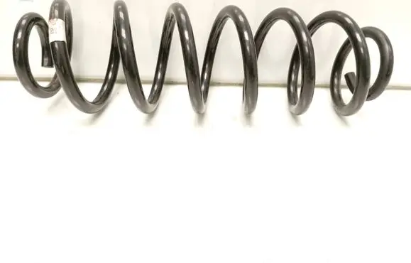 Rear coil spring