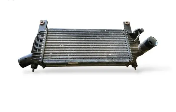 Nissan Pathfinder R51 Intercooler radiator 14461EB360