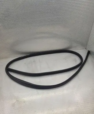 Dacia Spring Front door rubber seal 