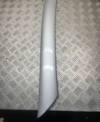 Mercedes-Benz CL C215 Roof trim bar molding cover 