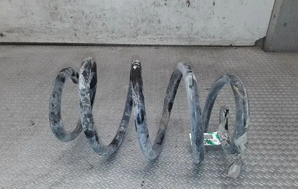 Dodge Nitro Rear coil spring