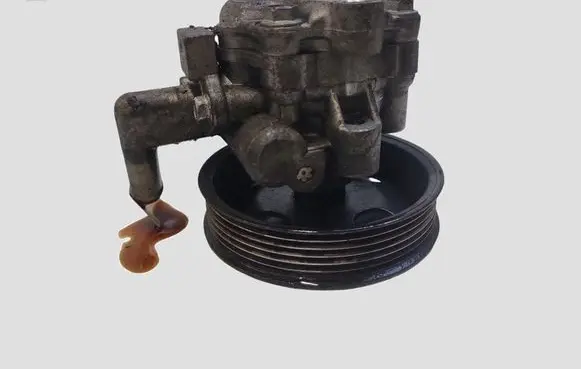 Hyundai Tucson JM Power steering pump 5710022200
