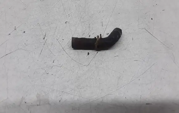 Honda Civic Engine coolant pipe/hose