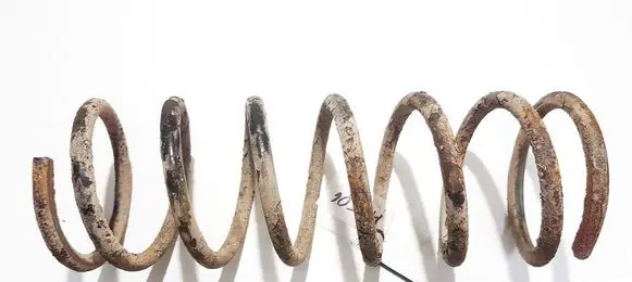 Rear coil spring