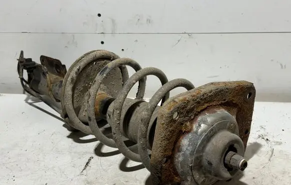 Citroen C8 Front shock absorber/damper