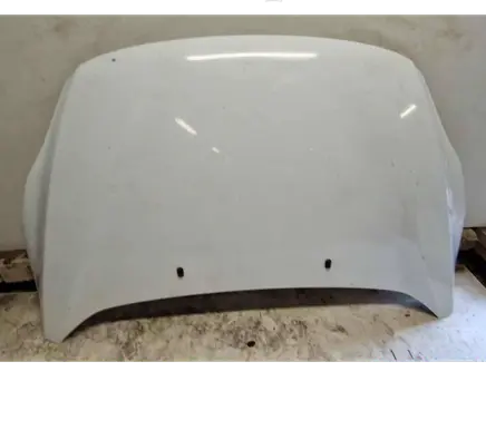 Engine bonnet/hood