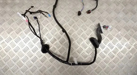 Rear door wiring loom
