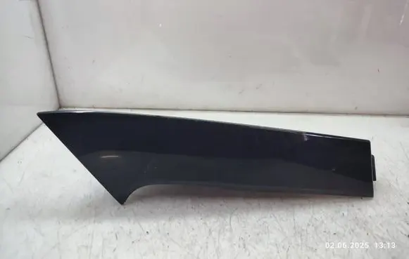 Rear/tail light trim molding