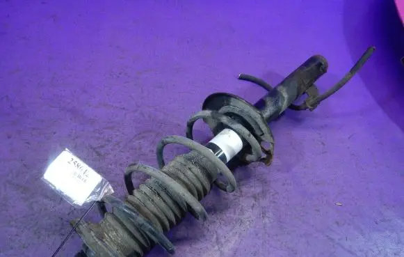 Citroen C1 Front shock absorber with coil spring