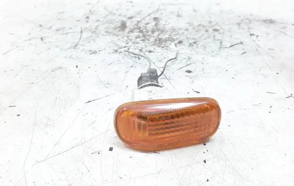 Front fender indicator light