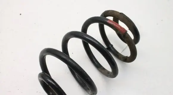 Nissan Leaf I (ZE0) Rear coil spring
