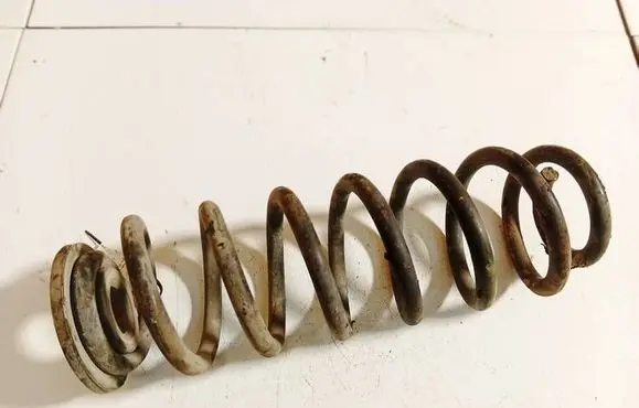 Volkswagen Tiguan Rear coil spring 