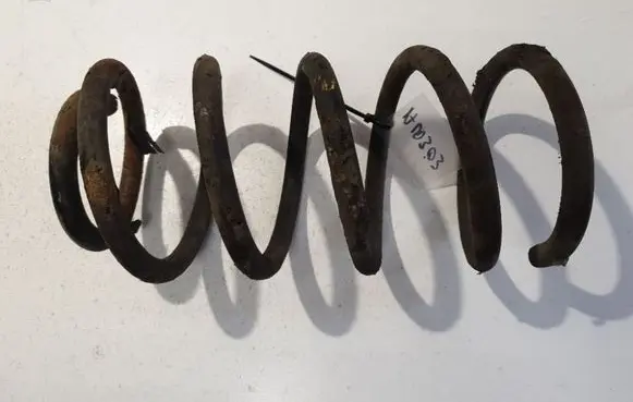 Rear coil spring