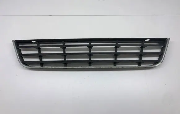 Volkswagen PASSAT B6 Front bumper lower grill