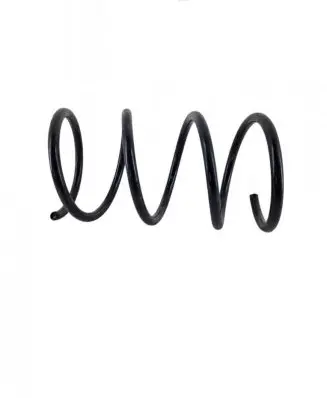 KIA Carens I Front coil spring