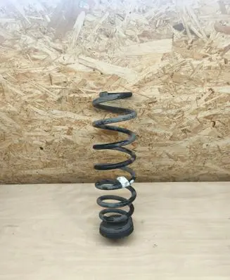Rear coil spring