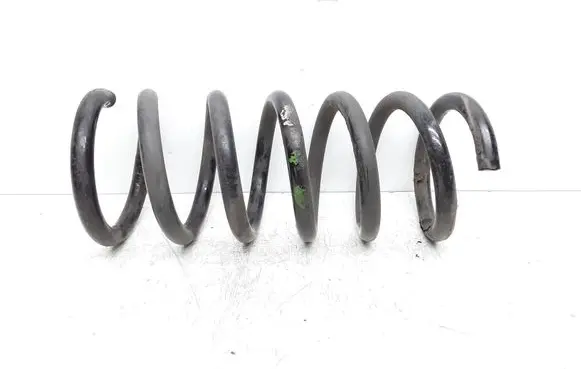 Rear coil spring