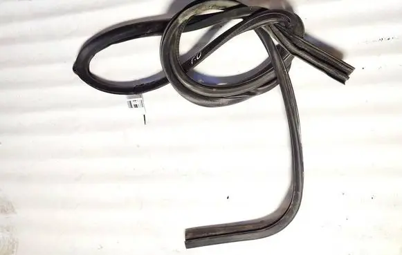 Chrysler Grand Voyager V Rubber seal front coupe door 