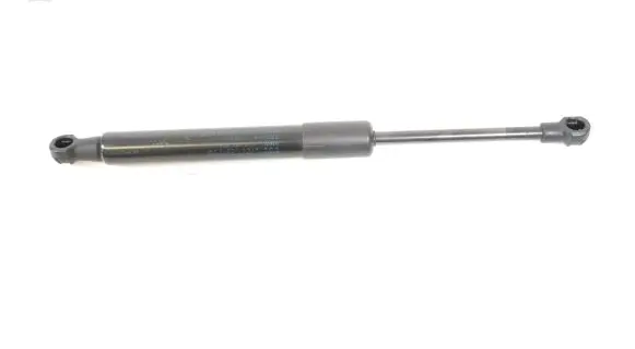 Tailgate/trunk strut/damper