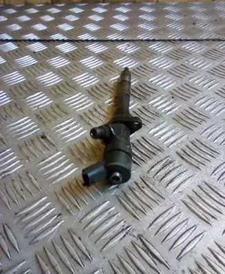 Peugeot 807 Fuel injector 0455110036 9637277980