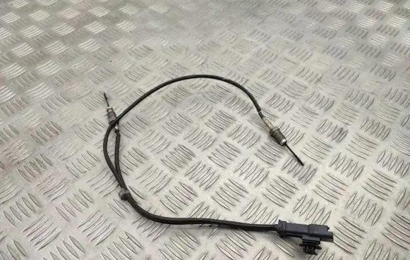 Citroen Berlingo Exhaust gas temperature sensor 9812376480