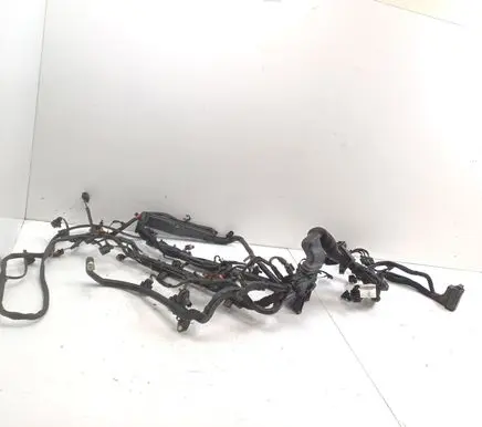 Engine installation wiring loom