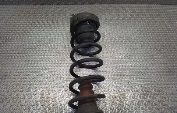 Peugeot Partner Rear coil spring