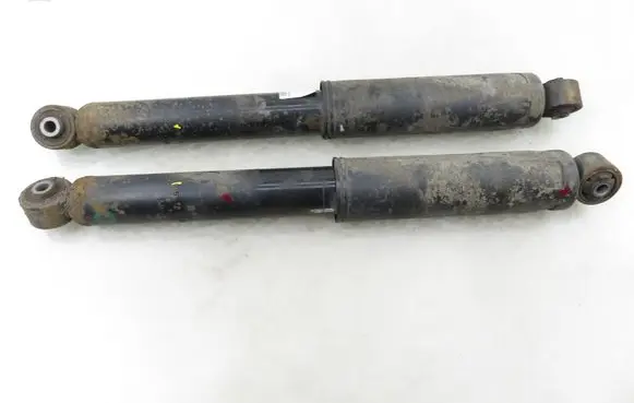 Chevrolet Captiva Rear shock absorber/damper 95104355