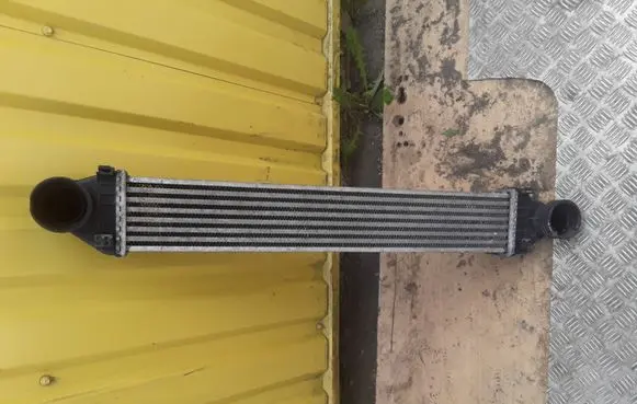 Mercedes-Benz A W169 Intercooler radiator A1695000000 Q04G0976