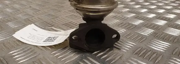 EGR valve