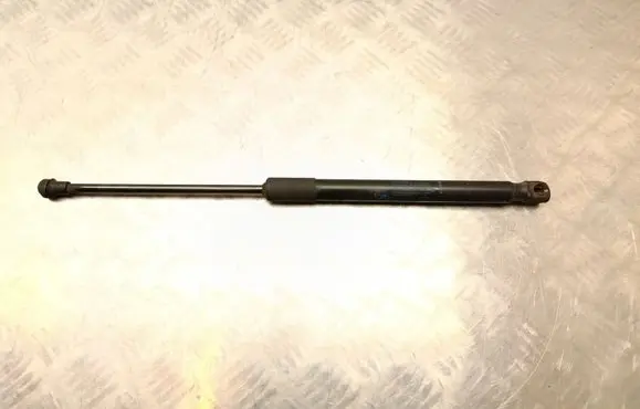 Renault Kadjar Tailgate/trunk strut/damper 904516026R