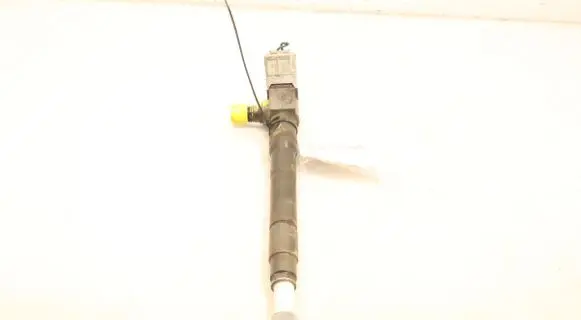 Mazda 2 Fuel injector S56013H50