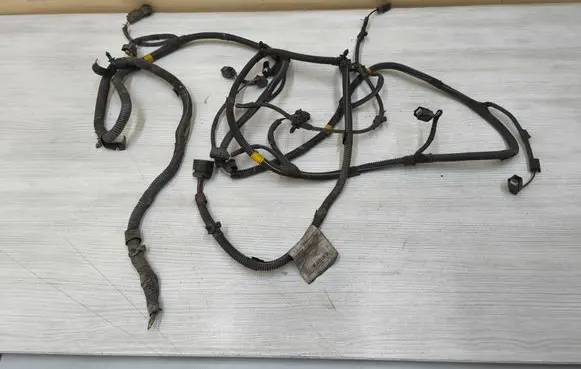 Other wiring loom