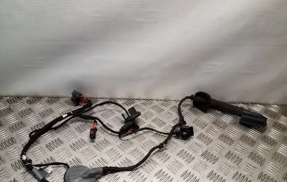 Rear door wiring loom