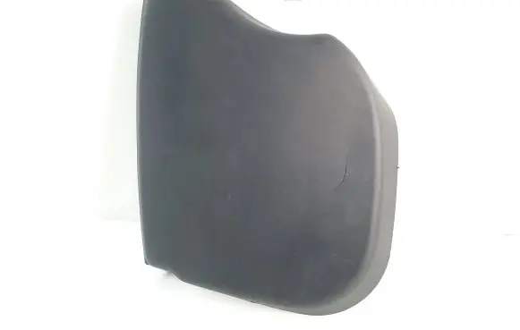 Rear/tail light trim molding
