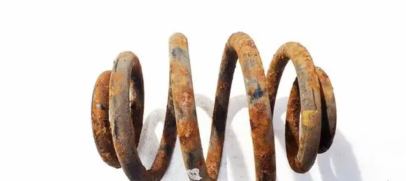 Volkswagen Sharan Rear coil spring 