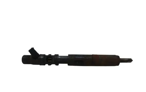 Ford Focus Fuel injector EJBR02201Z 0521KX20F71 2T1Q9F593AA