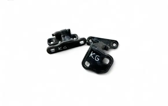 Fisker Karma Rear door hinge set 