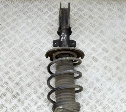 Opel Grandland X Front shock absorber/damper 9819718680