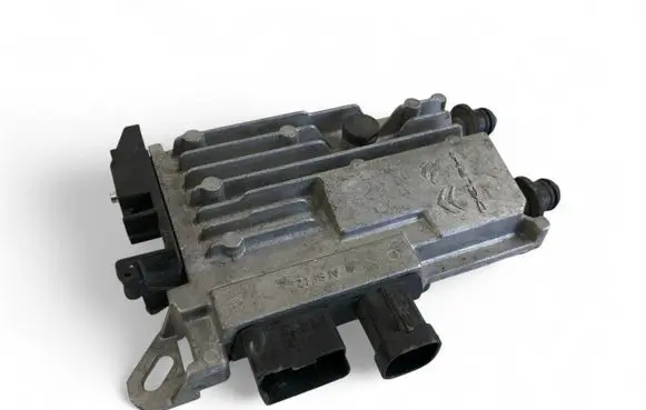 Peugeot 5008 Other control units/modules 9810858380