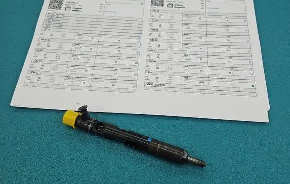 Renault Megane II Fuel injector EJBR01801A IMPRK1543944