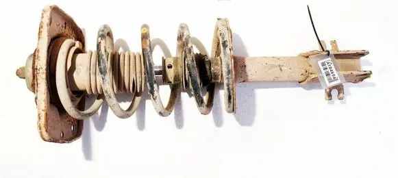 Citroen Jumpy Front shock absorber/damper 