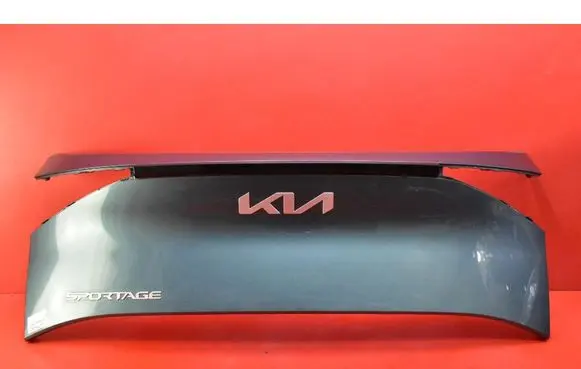 KIA Sportage Number plate light 87310R2010
