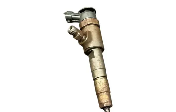 Citroen C3 Fuel injector 0445110339
