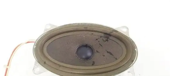 Iveco Daily 40.8 Front door speaker