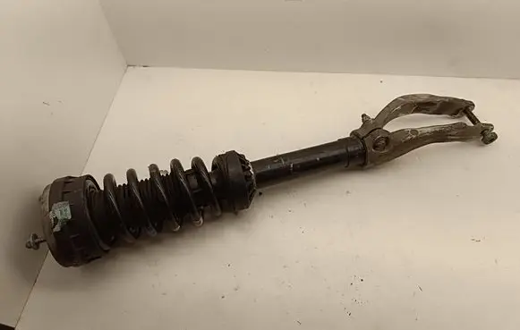 Jaguar F-Pace Front shock absorber with coil spring CX733463AB